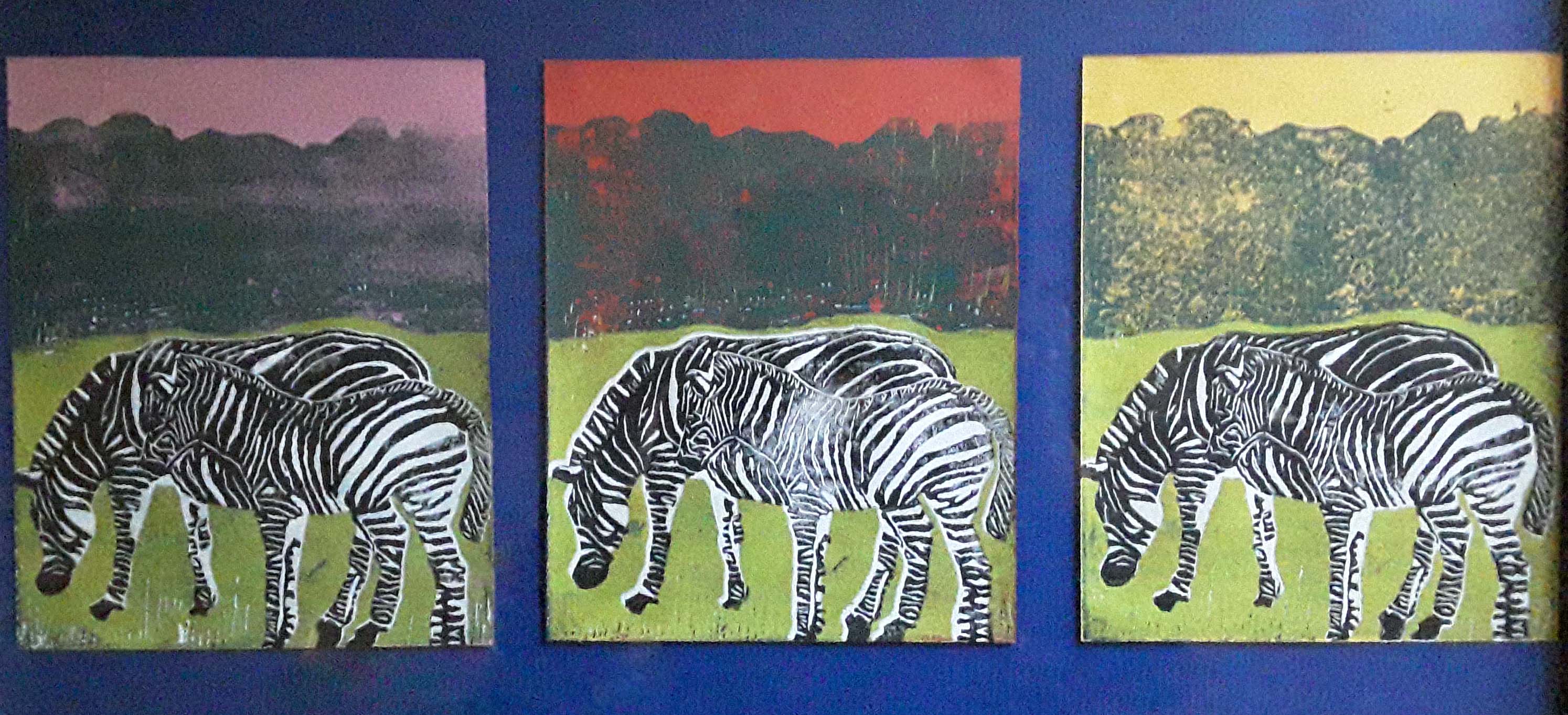 Zebra x 3